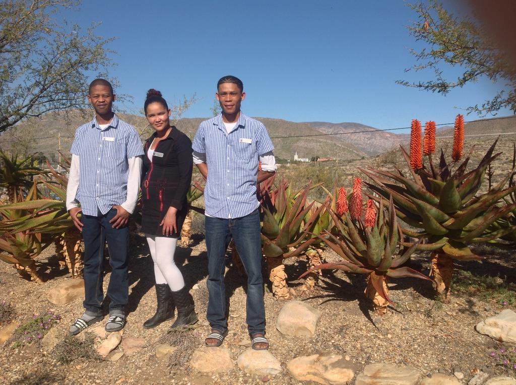 Karoo View Cottages Prince Albert Eksteriør billede