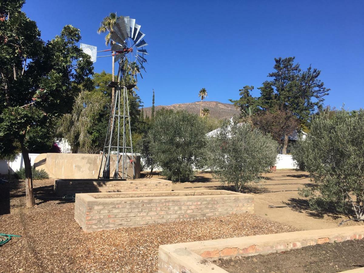 Karoo View Cottages Prince Albert Eksteriør billede