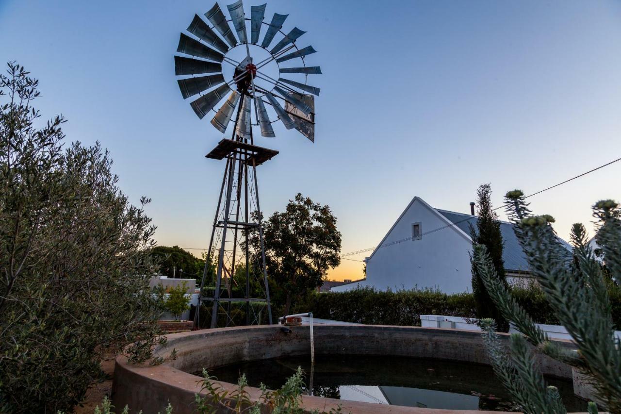 Karoo View Cottages Prince Albert Eksteriør billede